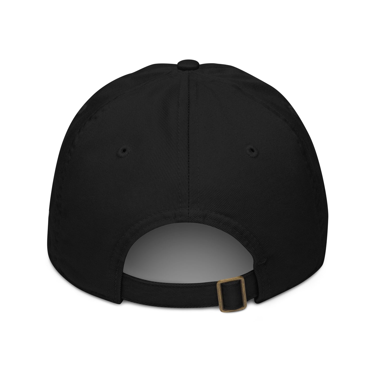 SHLITA OG Dad hat back